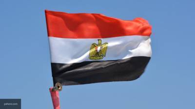 Египетский МИД назвал ливийских террористов угрозой для всего континента
