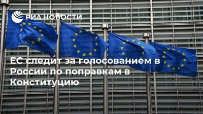 ЕС следит за голосованием в России по поправкам в Конституцию