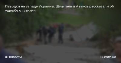 Паводки на западе Украины: Шмыгаль и Аваков рассказали об ущербе от стихии