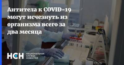 Антитела к COVID-19 могут исчезнуть из организма всего за два месяца