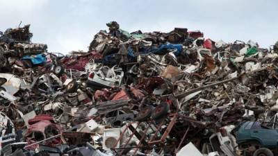 Количество мусора в Московской области снизилось на 1,5 миллиона тонн благодаря раздельному сбору