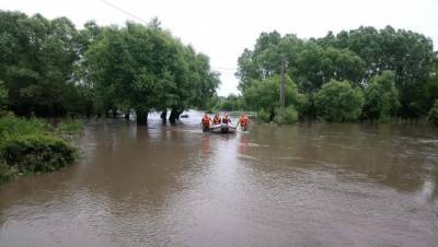 Прокуратура считает, что потоп на западе Украины произошел из-за вырубки леса