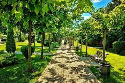 Губернаторский сад в Ярославле открылся для посетителей