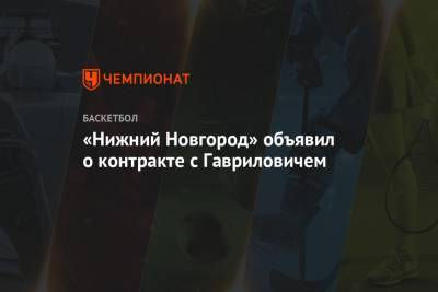 «Нижний Новгород» объявил о контракте с Гавриловичем