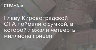 Главу Кировоградской ОГА поймали с сумкой, в которой лежали четверть миллиона гривен