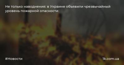 Не только наводнения: в Украине объявили чрезвычайный уровень пожарной опасности