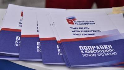 Путин заявил о недопустимости принудительного голосования по поправкам в Конституцию