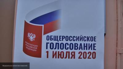 Член СПЧ продемонстрировала, как проходит голосование на придомовых территориях в Москве
