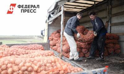 Красноярский центр сельхозкомпетенций почти 3 тыс. раз помог фермерам