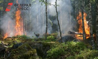Площадь лесных пожаров в Приангарье приближается к 1000 гектаров