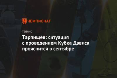 Тарпищев: ситуация с проведением Кубка Дэвиса прояснится в сентябре