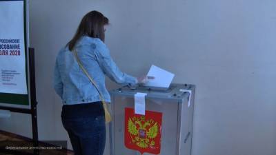 Международные эксперты привлечены к наблюдению за голосованием по поправкам в России