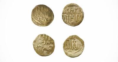 Монеты Золотой Орды нашли в Новой Москве