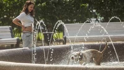 В Петербурге ожидается 30-градусная жара