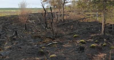 В Якутии действуют 127 лесных пожаров на площади свыше 1,2 тыс. га