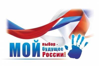 В Ставрополе объяснили правила голосования по поправкам в Конституцию