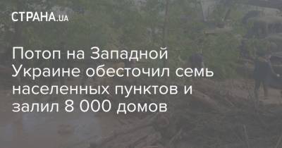 Потоп на Западной Украине обесточил семь населенных пунктов и залил 8 000 домов