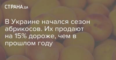 В Украине начался сезон абрикосов. Их продают на 15% дороже, чем в прошлом году