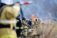 Площадь лесных пожаров на удаленных территориях в РФ достигла 1 млн га