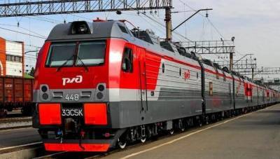 Путешествовать на поезде по России летом многодетные семьи смогут со скидкой