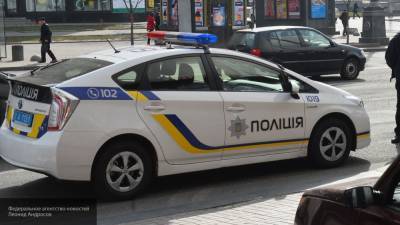 Неизвестные напали ночью на украинскую певицу Навку под Николаевом