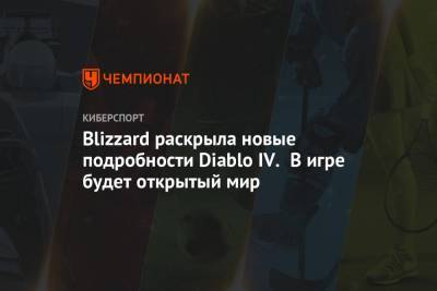 Blizzard раскрыла новые подробности Diablo IV. В игре будет открытый мир