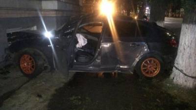 В Воронежской области при столкновении авто с деревом погибла 19-летняя пассажирка