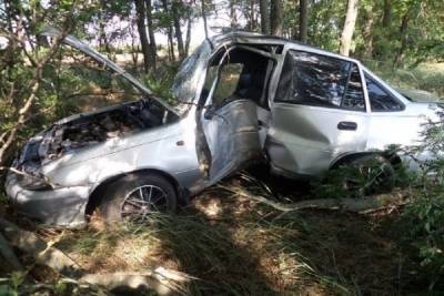 В Краснодарском крае 22-летний парень врезался на машине в дерево