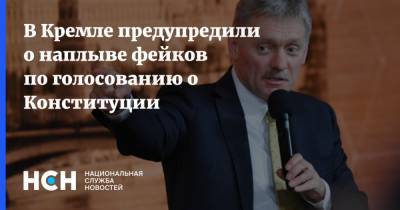 В Кремле предупредили о наплыве фейков по голосованию о Конституции