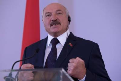 Лукашенко обвинил россиян в росте цен на жилье в Минске
