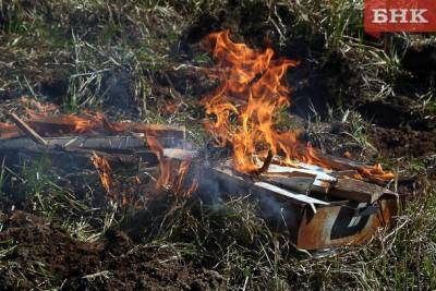Поджигателя леса в Коми нашли по обгоревшему смартфону
