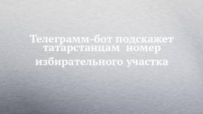 Телеграмм-бот подскажет татарстанцам номер избирательного участка