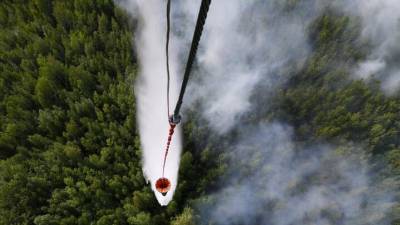 Минприроды РФ предлагает сократить зоны контроля лесных пожаров