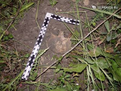 На улице Лесной в Лаишевке нашли человеческие кости