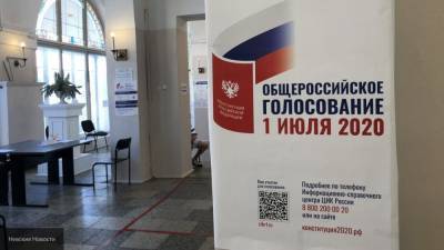 "Навальнист" уличил движение "Голос" в создании фейка о голосовании по Конституции РФ