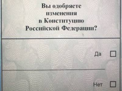 Институт русского языка предупреждал о грамматической ошибке в вопросе в бюллетене