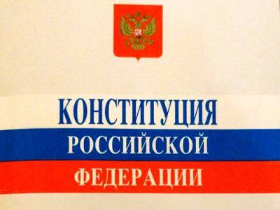 По поправкам в Конституцию проголосовали почти 350 тыс. петербуржцев