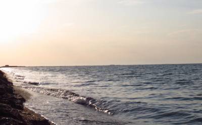 Экокатастрофа в Одессе: ограничен доступ к популярному пляжу