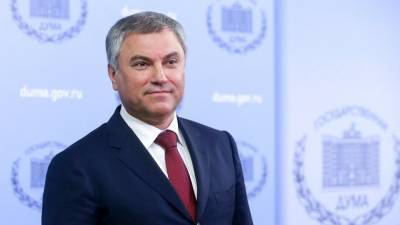 Вячеслав Володин проголосовал по поправкам в конституцию