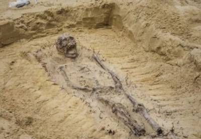 В Польше археологи нашли загадочные останки детей с монетами во рту (фото, видео)