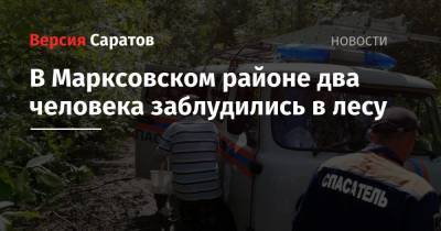 В Марксовском районе два человека заблудились в лесу
