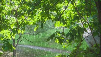 Прогноз погоды на 27 июня: понижение температуры и дожди с грозами ожидаются почти по всему Казахстану