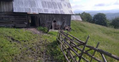 Дом пошел трещинами: в селе на Закарпатье из-за угрозы оползня отселили людей (4 фото)