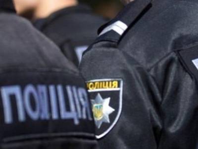В Украине хотят запустить подразделения полицейских дознавателей - Клименко