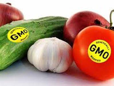 В ЕАЭС вступили в силу новые требования к маркировке продуктов с ГМО
