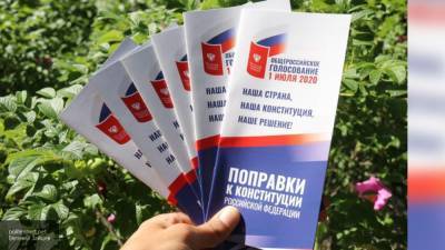 Лига безопасного интернета назвала число выявленных фейков о голосовании по Конституции РФ