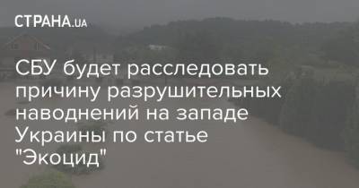 СБУ будет расследовать причину разрушительных наводнений на западе Украины по статье "Экоцид"