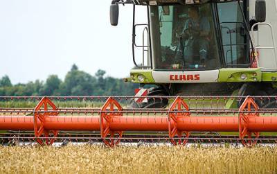 Люди предпочтут пособия: фермеры не найдут достаточно рабочих на сентябрь за 800 евро