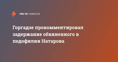 Горгадзе прокомментировал задержание обвиненного в педофилии Натарова