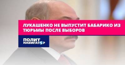 Лукашенко не выпустит Бабарико из тюрьмы после выборов